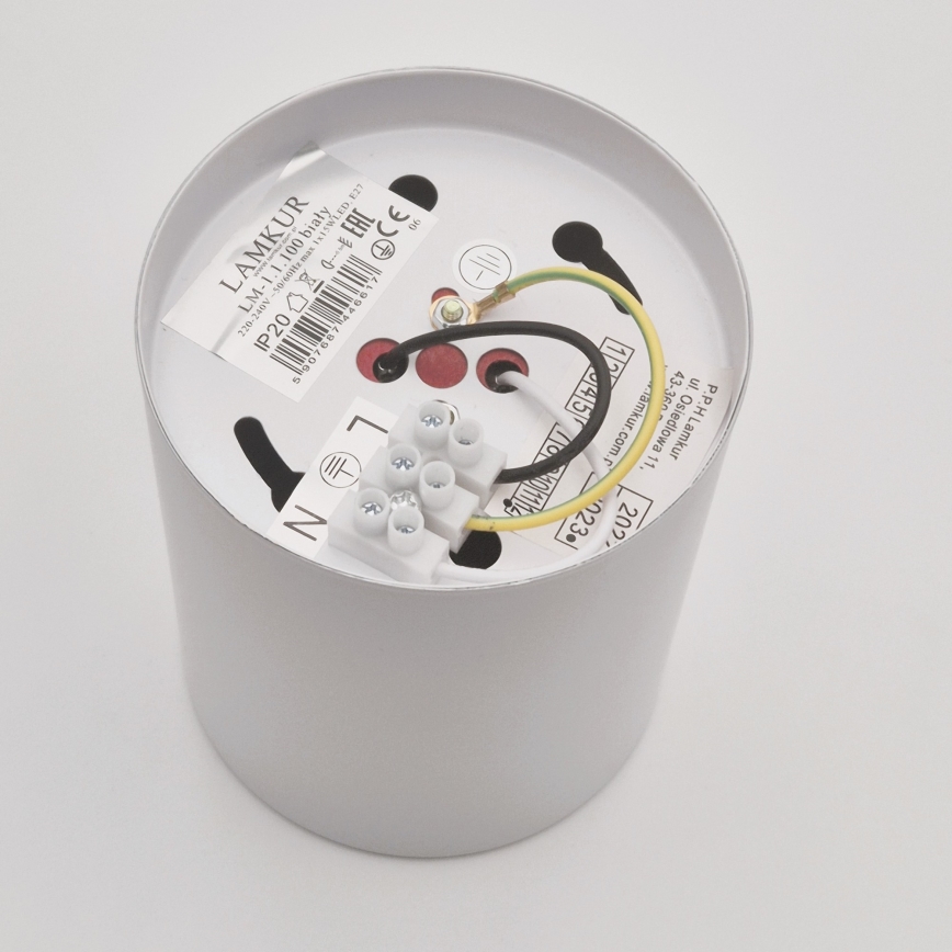 Світильник точковий LED TACO 1xE27/15W/230V білий