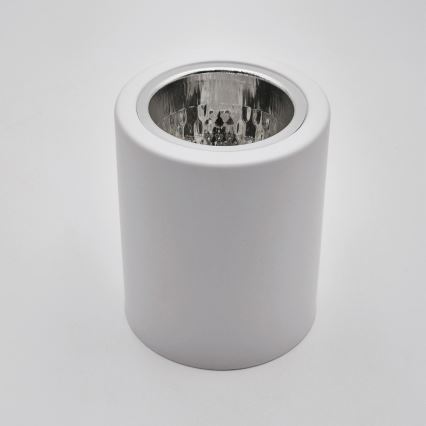 Світильник точковий LED TACO 1xE27/15W/230V білий
