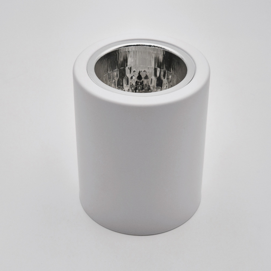 Світильник точковий LED TACO 1xE27/15W/230V білий