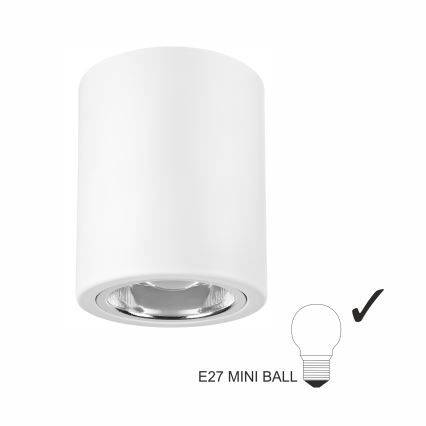 Світильник точковий LED TACO 1xE27/15W/230V білий