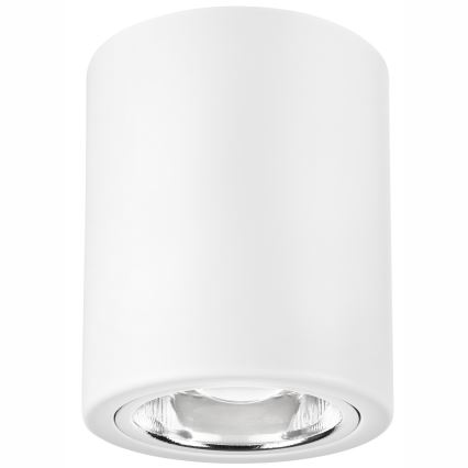 Світильник точковий LED TACO 1xE27/15W/230V білий