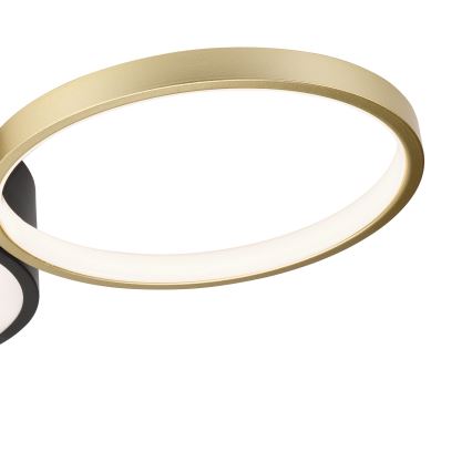 Світильник стельовий димований ALIZEE LED/30W/230V 3000-6500K чорний/золотий