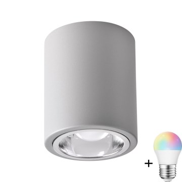 Світильник точковий LED RGBW JUPITER регульований 1xE27/6,5W/230V 2700-6500K Wi-Fi діаметр 9,8 см сірий