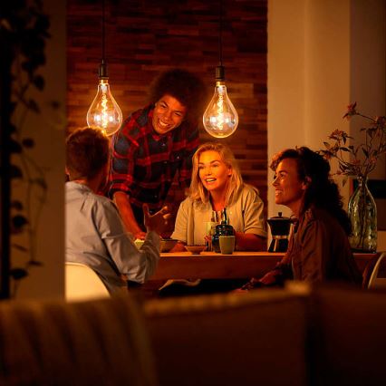 Світлодіодна декоративна лампочка з регулюванням яскравості VINTAGE DYI E27/4W/230V - Leuchten Direkt 0846