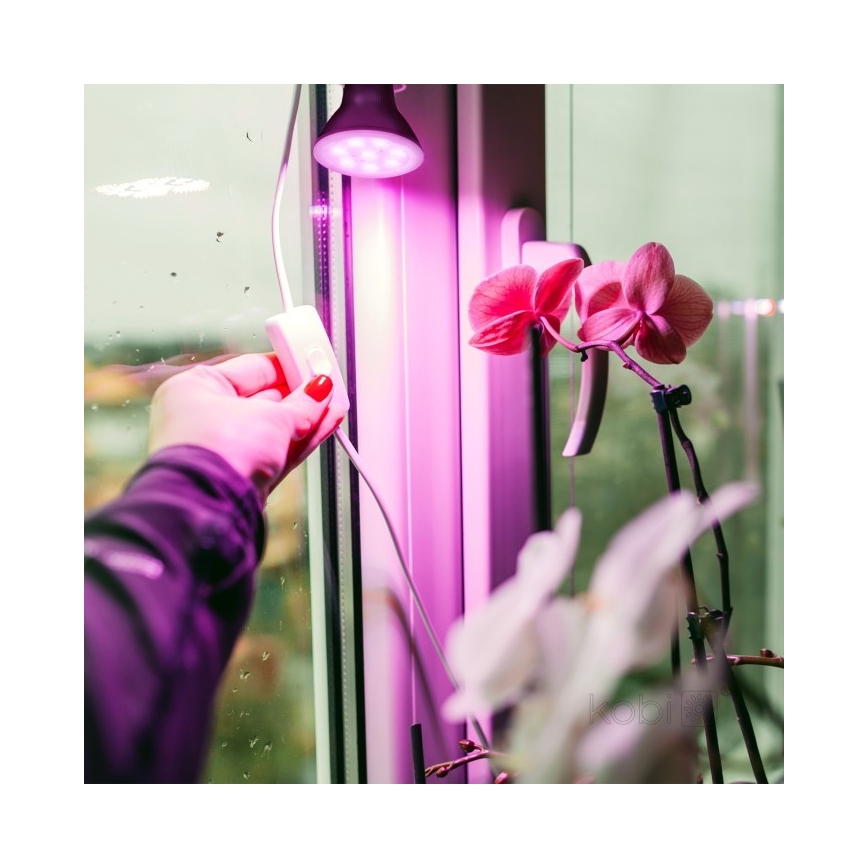 Світлодіодна лампа для росту рослин PLANTY E27/7W/230V 1200K чорна