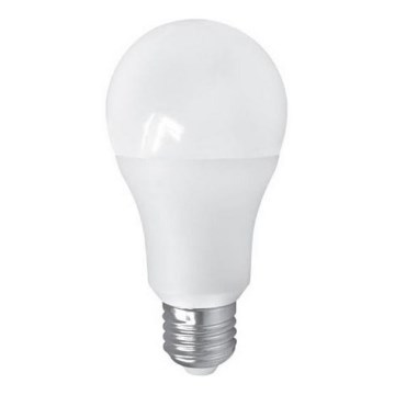 Світлодіодна лампа PITT A60 AC/DC E27/12W/24V 4000K