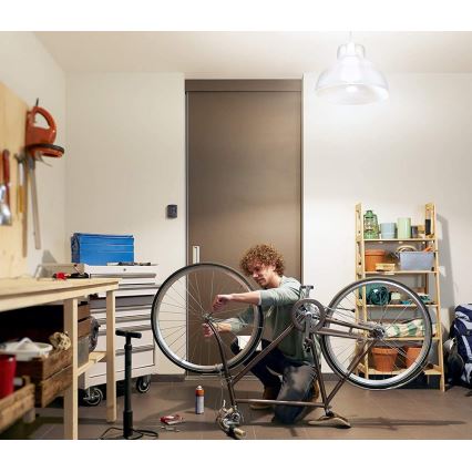 Світлодіодна лампочка Philips Hue WHITE E67 E27/15,5W/230V