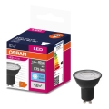 Світлодіодна лампочка VALUE PAR16 GU10/6,9W/230V 6500K 36° чорний - Osram