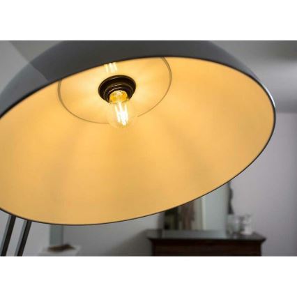 Світлодіодна лампочка FILAMENT A60 E27 LED/7W/230V 2700K