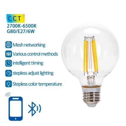 Світлодіодна лампочка з регулюванням яскравості FILAMENT MESH Smart G80 E27/6W/230V 2700-6500K - Aigostar