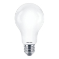 Світлодіодна лампочка Philips A67 E27/17,5W/230V 2700K