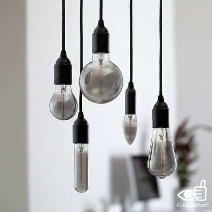 Світлодіодна лампочка SMOKY VINTAGE Philips T32 E27/2,3W/230V 1800K