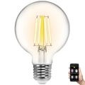 Світлодіодна лампочка з регулюванням яскравості FILAMENT G80 E27/6W/230V 2700-6500K Wi-Fi - Aigostar