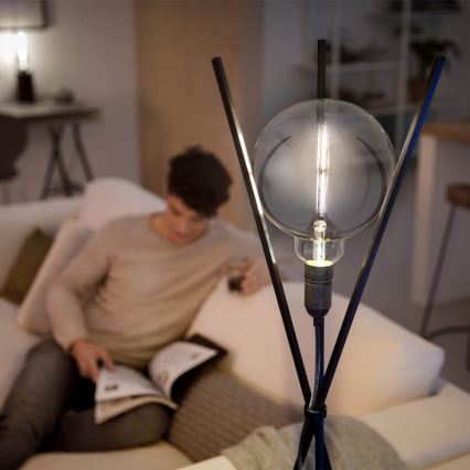 Світлодіодна лампочка з регульованою яскравістю SMOKY VINTAGE Philips A160 E27/6,5W/230V 4000K