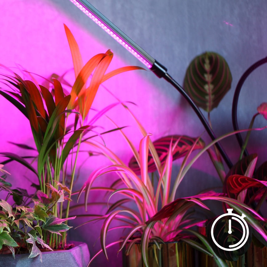 Світлодіодна регульована гнучка настільна лампа для вирощування рослин VITARO 3xLED/10W/230V чорна