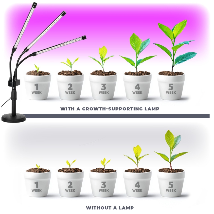 Світлодіодна регульована гнучка настільна лампа для вирощування рослин VITARO 3xLED/10W/230V чорна