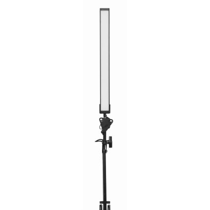 Світлодіодна настільна лампа з затискачем LED/10W/230V 2800-6800K