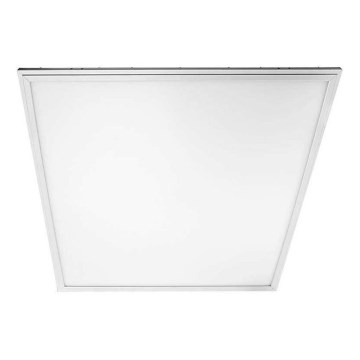 Світлодіодна панель 2в1 LED/40W/230V 4000K 60x60 см