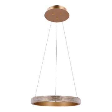 Світлодіодна підвісна люстра HASHIM LED/22W/230V діаметр 40 см мідний