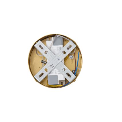 Світлодіодна підвісна люстра LED/19W/230V 3000K