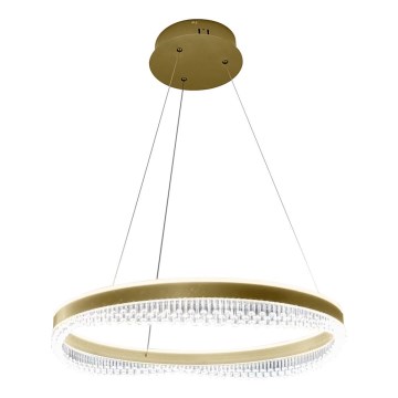 Світлодіодна підвісна люстра LED/52W/230V діаметр 60 см золотий