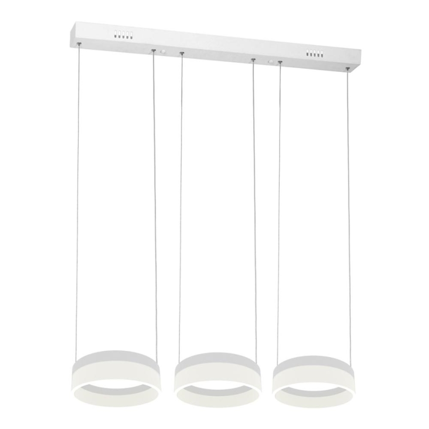 Світлодіодна підвісна люстра RING 3xLED/12W/230V
