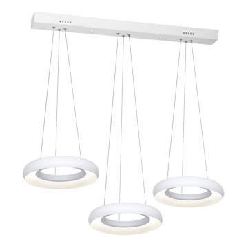 Світлодіодна підвісна люстра RONDO 3xLED/12W/230V