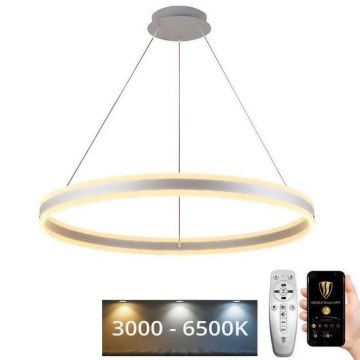 Світлодіодна підвісна люстра з регулюванням яскравості LED/110W/230V 3000-6500K діаметр 80 см + пульт дистанційного керування