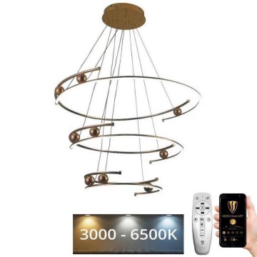 Світлодіодна підвісна люстра з регулюванням яскравості LED/170W/230V 3000-6500K діаметр 80 см + пульт дистанційного керування