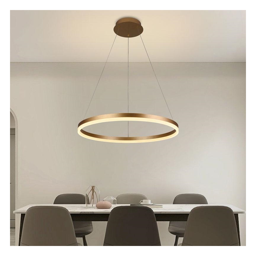 Світлодіодна підвісна люстра з регулюванням яскравості LED/42W/230V 3000-6500K діаметр 60 см + пульт дистанційного керування