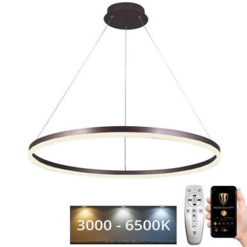Світлодіодна підвісна люстра з регулюванням яскравості LED/55W/230V 3000-6500K діаметр 80 см + пульт дистанційного керування