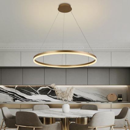 Світлодіодна підвісна люстра з регулюванням яскравості LED/55W/230V 3000-6500K + дистанційне керування