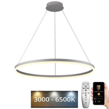 Світлодіодна підвісна люстра з регулюванням яскравості LED/55W/230V 3000-6500K + дистанційне керування