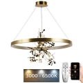 Світлодіодна підвісна люстра з регулюванням яскравості LED/55W/230V 3000-6500K золотий + пульт дистанційного керування