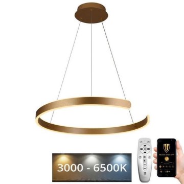 Світлодіодна підвісна люстра з регулюванням яскравості LED/70W/230V 3000-6500K діаметр 60 см + пульт дистанційного керування