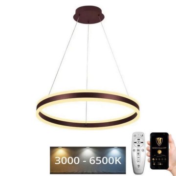 Світлодіодна підвісна люстра з регулюванням яскравості LED/85W/230V 3000-6500K + пульт дистанційного керування