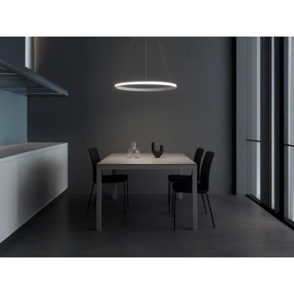 Світлодіодна затемнювана люстра на тросі LED/55W/230V 3000-6500K діам. 60 см + пульт дистанційного керування