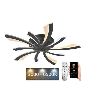 Світлодіодна регульована накладна люстра LED/55W/230V 3000-6500K + дистанційне керування