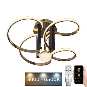 Світлодіодна регульована накладна люстра LED/80W/230V 3000-6500K + дистанційне керування