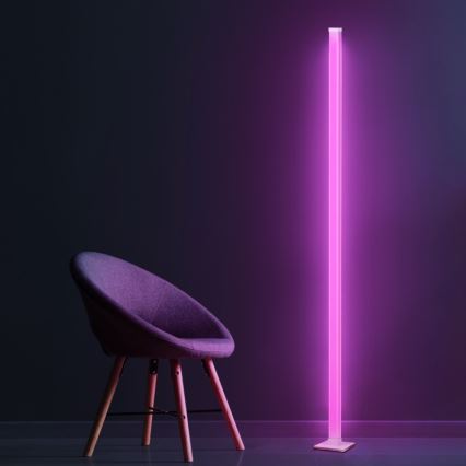 Світлодіодна RGBW регульована підлогова лампа MAGICAL LED/7W/230V + дистанційне керування