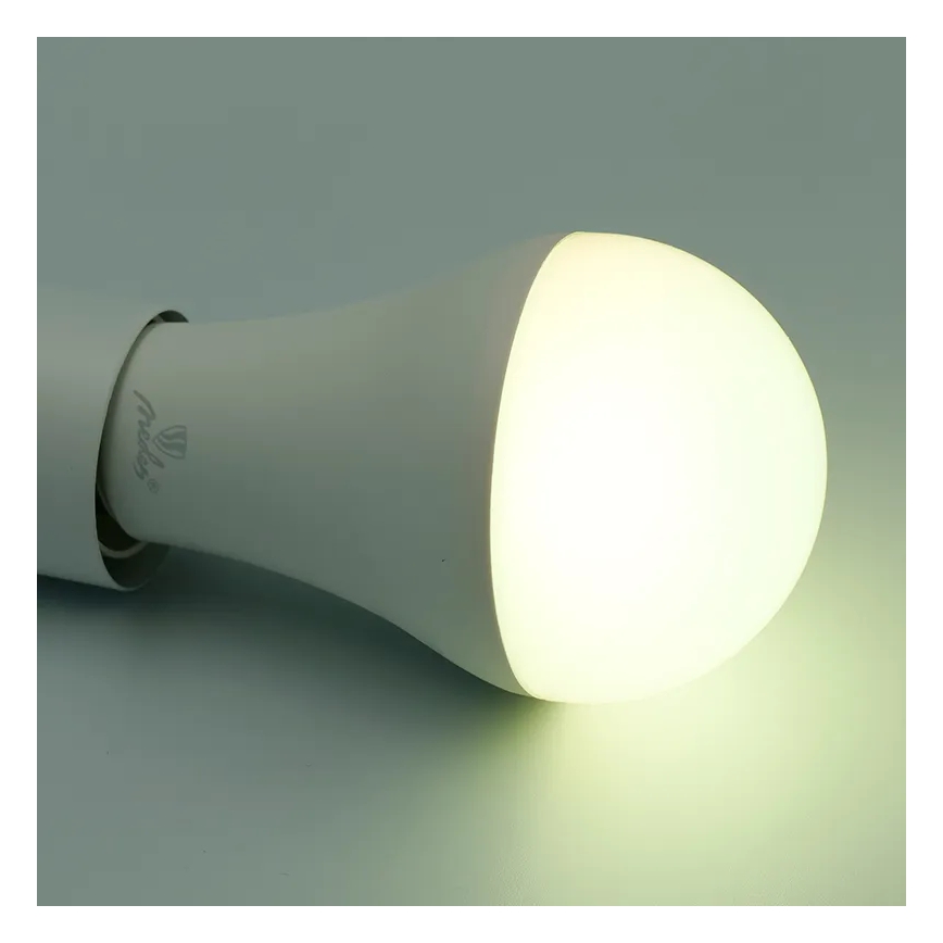 Світлодіодна RGBW лампочка з регулюванням яскравості A60 E27/15W/230V 2700-6500K Wi-Fi Tuya
