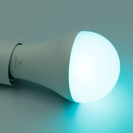 Світлодіодна RGBW лампочка з регулюванням яскравості A60 E27/15W/230V 2700-6500K Wi-Fi Tuya