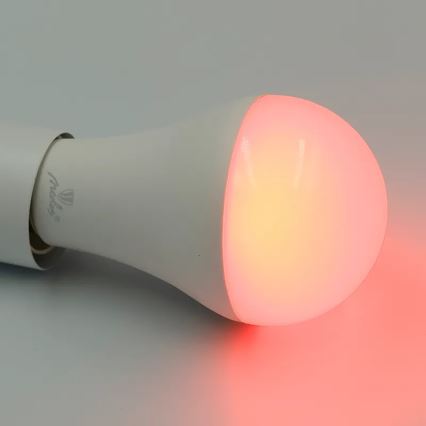 Світлодіодна RGBW лампочка з регулюванням яскравості A60 E27/15W/230V 2700-6500K Wi-Fi Tuya