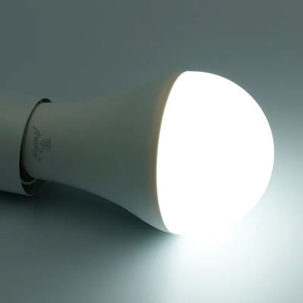 Світлодіодна RGBW лампочка з регулюванням яскравості A60 E27/15W/230V 2700-6500K Wi-Fi Tuya