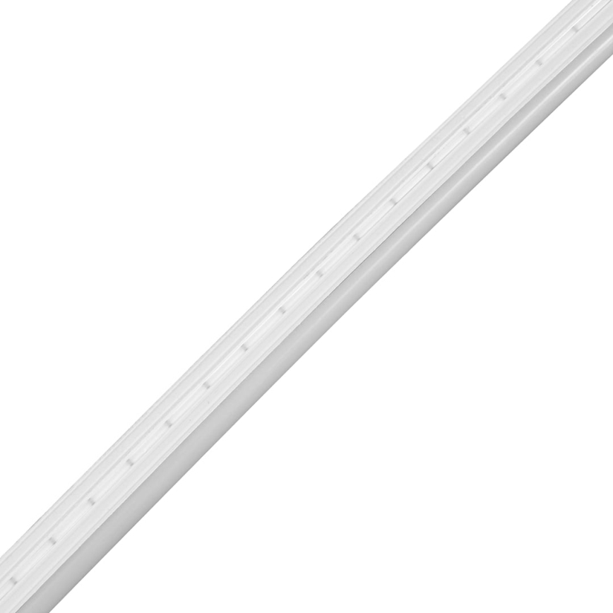 Світлодіодна стрічка для ванної кімнати NEON EKO-FLEX LED/250W/12V 4000K IP65 25 м білий