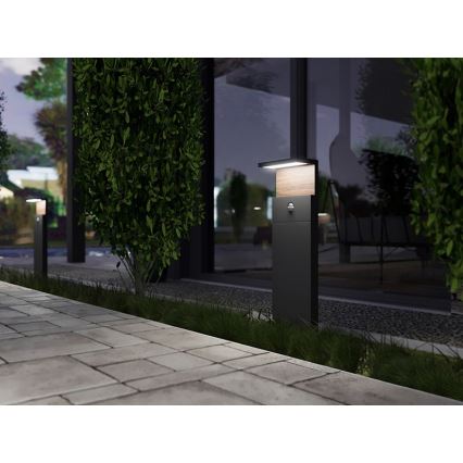 Світлодіодна вулична лампа з датчиком NATURA LED/12W/230V 4000K IP54 коричневий/антрацит