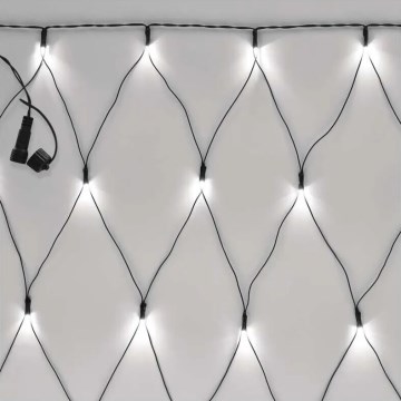 Світлодіодна вулична різдвяна гірлянда 160xLED/2x1,5 м IP44 холодний білий