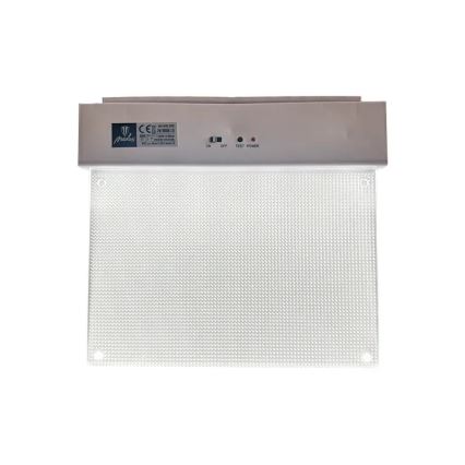 Світлодіодний аварійний світильник LED/2W/230V 6000K 300 mAh