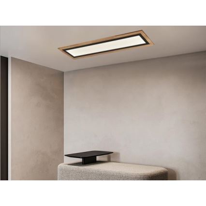 Світлодіодний димований стельовий світильник LED/55W/230V 3000-6500K + пульт дистанційного керування