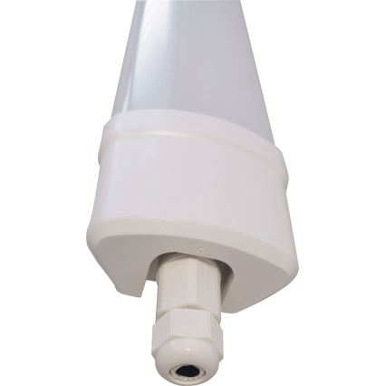 Світлодіодний люмінесцентний світильник DAISY LED/80W/230V 4000K IP65